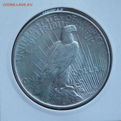 1 доллар США 1922 Серебро 900 до 08.03 в 22-00 по МСК - DSCF3422.JPG