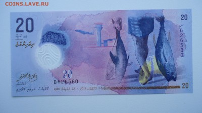 МАЛЬДИВЫ 20 РУФИЙ 2015 UNC ДО 10.03 22:00 МСК - DSC04044.JPG