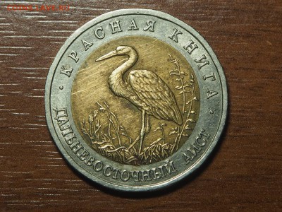 КК 50 рублей 1993 дальневосточный аист до 08.03.2017 в 22.00 - P2187082_thumb