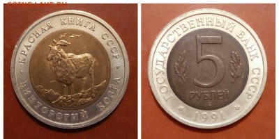 КК, Винторогий козел,с 200 до 10.03 - PhotoGrid_1488745086714_1