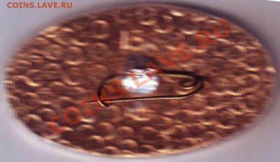 Знак Союз-Apollo до 05.02.11г. в 19.00 - IMAGE0114.JPG
