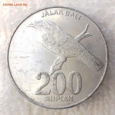 ИНДОНЕЗИЯ 200 рупий 2003 Балийский скворец 10 мар. 22-00 мск - ИНДОНЕЗИЯ 200 рупий 2003 -971-20170223_144151