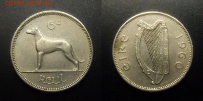 МОНЕТЫ МИРА 03-17 - Ирландия - 6 пенсов (1960) «Ирландский волкодав»