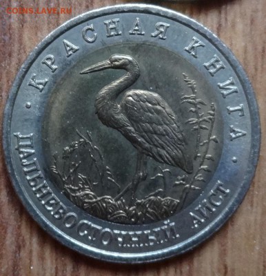 Россия 1993 Красная книга комплект_2 5 м-т до 08.03.17 22-00 - DSC03016.JPG