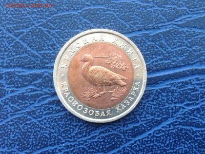 Красная Книга 10 рублей 1993 Краснозобая Казарка 10.03 - cuDY8wPi