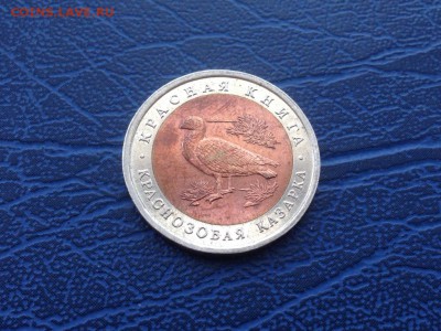 Красная Книга 10 рублей 1993 Краснозобая Казарка 10.03 - cuDY8wPj