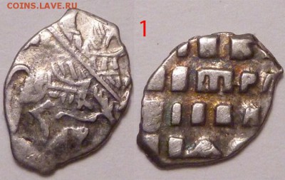 2 чешуйки на определение - P1350324.JPG
