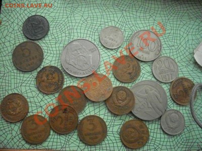 Гляньте есть что интересное? - SDC10706.JPG