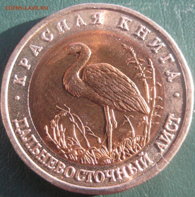 Аист КК 1993 год мешковая с 200р до 14.03.17 22.00 - IMG_1860.JPG