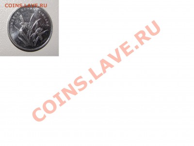 Китай, пфенинг помогите определить и оценить ? - рев_4.JPG