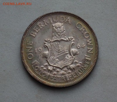 1 Крона 1964 Бермуды до 11.03.2017 в 22-00 по МСК - DSCF3059.JPG