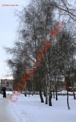 3 микрорайон, Аллея Дружбы около ДТ Юбилейный - 0_1551c_58af4390_orig[1]