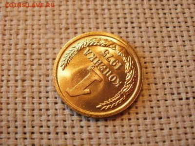 1 копейка 1975 года Огонь! В Коллекцию! До 14.03 в 11.35 мск - P4190279.JPG