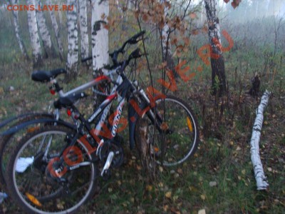 Копомобиль кладоискателя - DSC03308