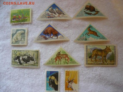 Марки на оценку - 001.JPG