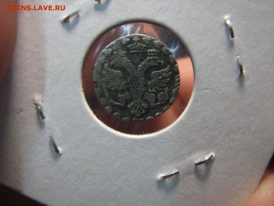 алтын 1704 - 4303711