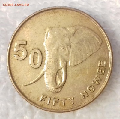 ЗАМБИЯ 50 нгве 2013 Слон до 14 мар. 22-00 мск - ЗАМБИЯ 50 нгве 2013 -832-20170310_174615