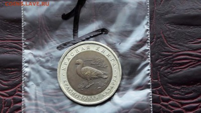 N1. Казарка красная книга 92 года. До 15.03 - IMG_20170310_192219_25