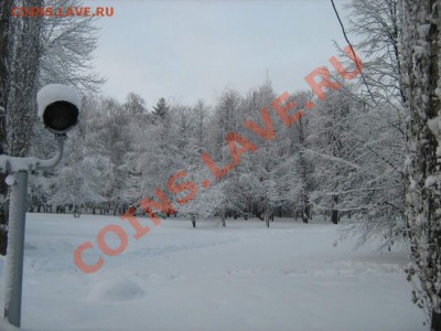 Подарки от moigala: 10р. юбилейка 2010г. - 5.JPG