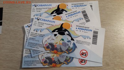 Коллекция билетов с разных мероприятий (спорт, музеи... ) - 25