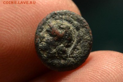 Антика. Малая Азия - CSC_1214.JPG