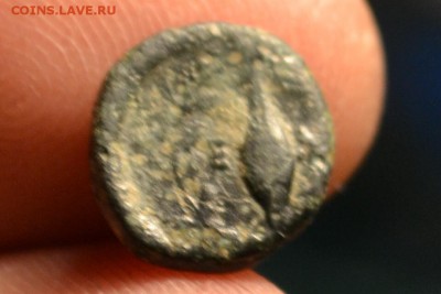 Антика. Малая Азия - CSC_1193.JPG