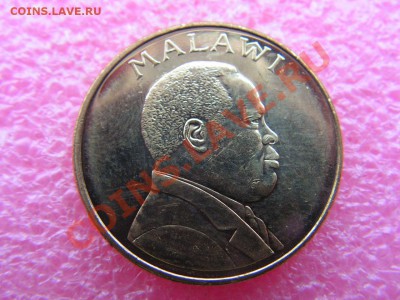 -Малави- 1 квача 1996 птица -- 4 февраля 22-00 - 1 квача 1996 (1).JPG