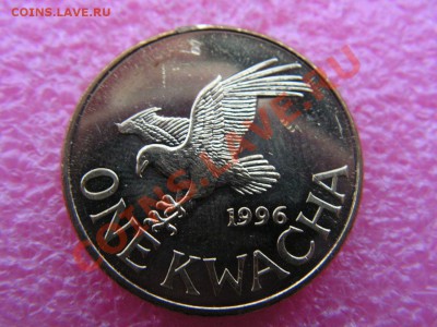 -Малави- 1 квача 1996 птица -- 4 февраля 22-00 - 1 квача 1996.JPG