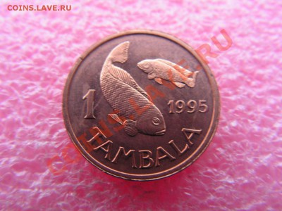 -Малави- 1 тамбала 1995 рыба -- 4 февраля 22-00 - 1 тамбала 1995.JPG