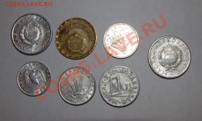 7 венгров до 22-00 5 фквраля - IMG_2930.CR2