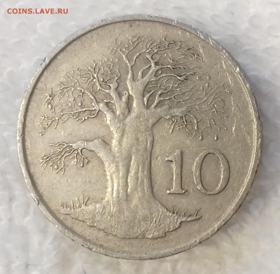 ЗИМБАБВЕ 10 центов 1991 Баобаб до 15 мар. 22-00 мск - ЗИМБАБВЕ 10 центов 1991 -840-20170311_124649