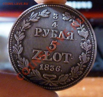 4 рубля 5 ZLOT 1836 mw Красивая, до 03.02.2011 22-00 мск - P1020829.JPG