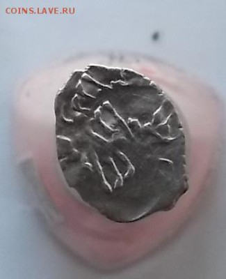 Чешуйки 3 шт. - DSCF1872.JPG