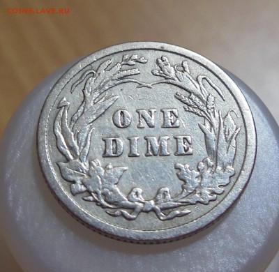 N2 - DSCN7820 (2).JPG
