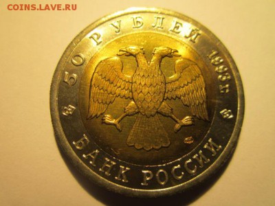 с 200 кк 1993 Афалина анц до 17.03.2017 в 22:30 - IMG_2662.JPG