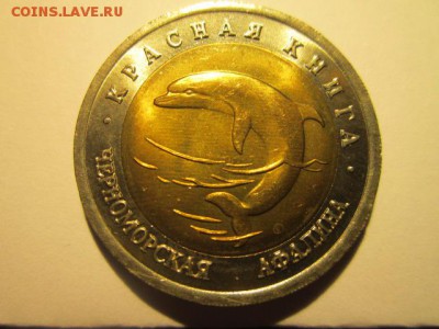 с 200 кк 1993 Афалина анц до 17.03.2017 в 22:30 - IMG_2661.JPG