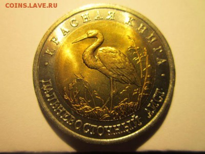 с 200 кк 1993 Аист анц до 17.03.2017 в 22:30 - IMG_2659.JPG