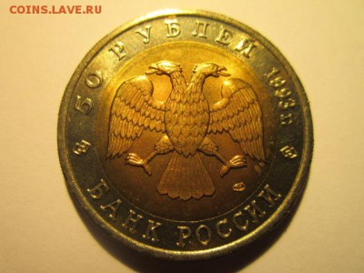 с 200 кк 1993 Медведь анц до 17.03.2017 в 22:30 - IMG_2666.JPG