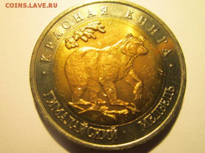 с 200 кк 1993 Медведь анц до 17.03.2017 в 22:30 - IMG_2665.JPG