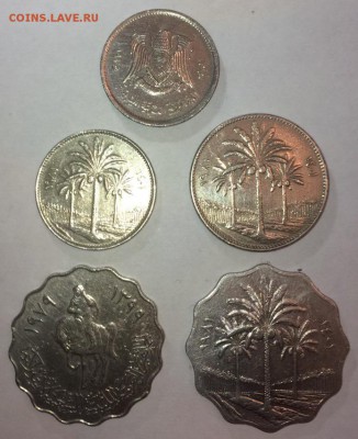 4 Монеты Ирака и 1 Ливии - IMG_8271.JPG