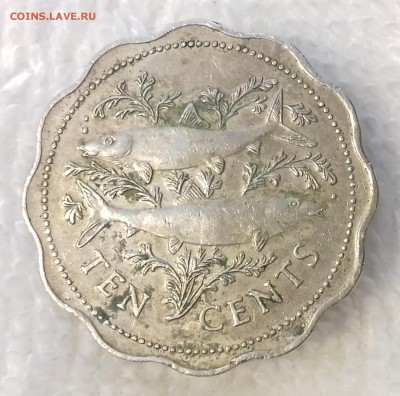 БАГАМСКИЕ О-ВА 10 центов 2000 Две белые лисицы 18 мар. 22-00 - БАГАМСКИЕ О-ВА 10 центов 2000-484-20170312_104214