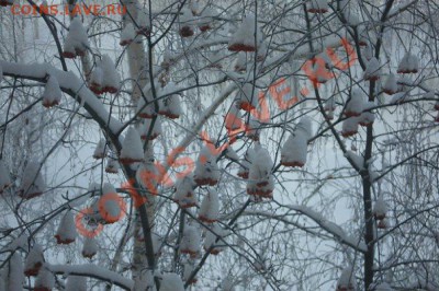 Подарки от moigala: 10р. юбилейка 2010г. - x_8712464e