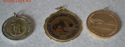 Значки разные на оценку - DSC_4662.JPG