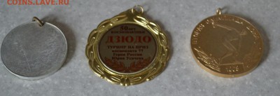 Значки разные на оценку - DSC_4664.JPG