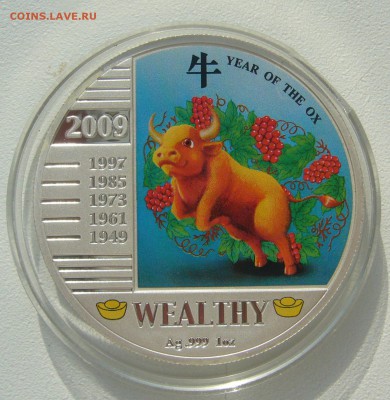 20 квач 2009 г. ГОД БЫКА до 16.03-22.00.00 - P1380590.JPG
