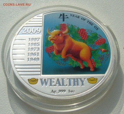 20 квач 2009 г. ГОД БЫКА до 16.03-22.00.00 - P1380591.JPG