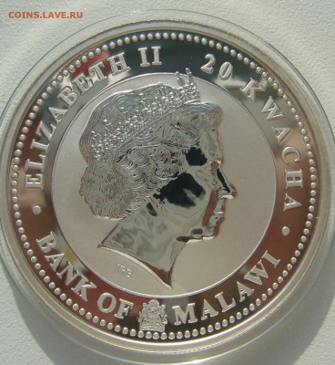 20 квач 2009 г. ГОД БЫКА до 16.03-22.00.00 - P1380592.JPG