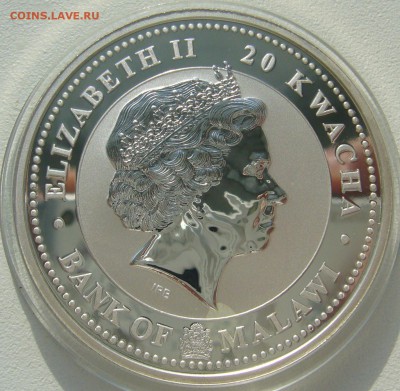 20 квач 2009 г. ГОД БЫКА до 16.03-22.00.00 - P1380595.JPG