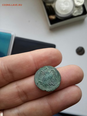 Пантикапей. 230 — 220 год до н.э. Медь Тетрахалк. Орел. - 20170312_155423-1188x1584