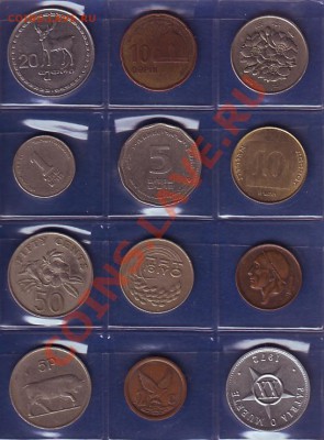 Солянка, прошу оценить - IMAGE0005.JPG